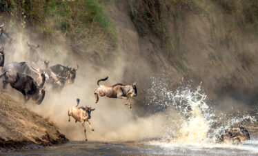 Kenia Safari und Strand